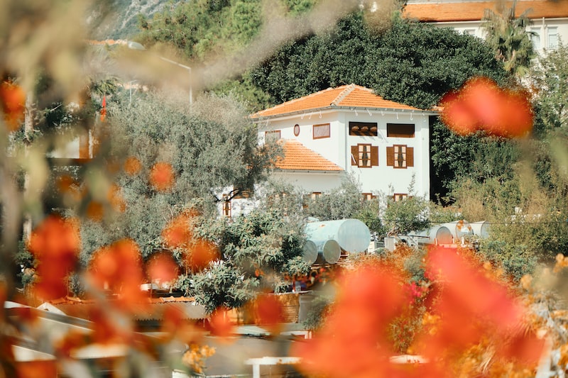 Ortopedi ve Kas İskelet Sistemi