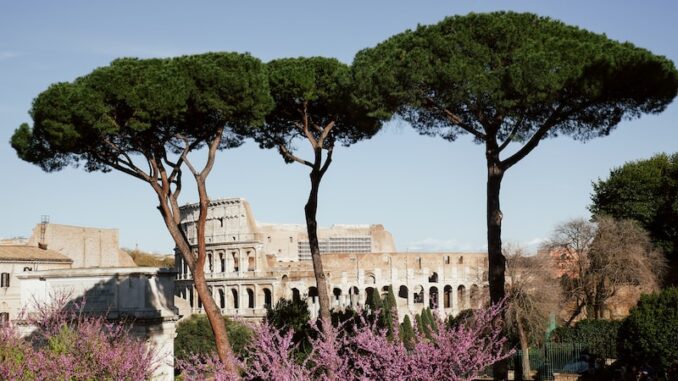 uploaded-image-ortopedi-ve-romatoid-artrit-yonetimi-1697893685596